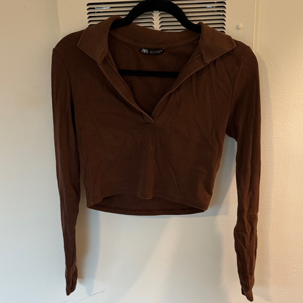 Zara Brown Long Sleeve Crop Top